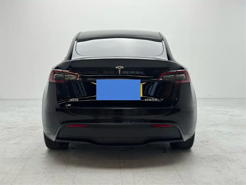 Tesla Model Y — миниатюра 4