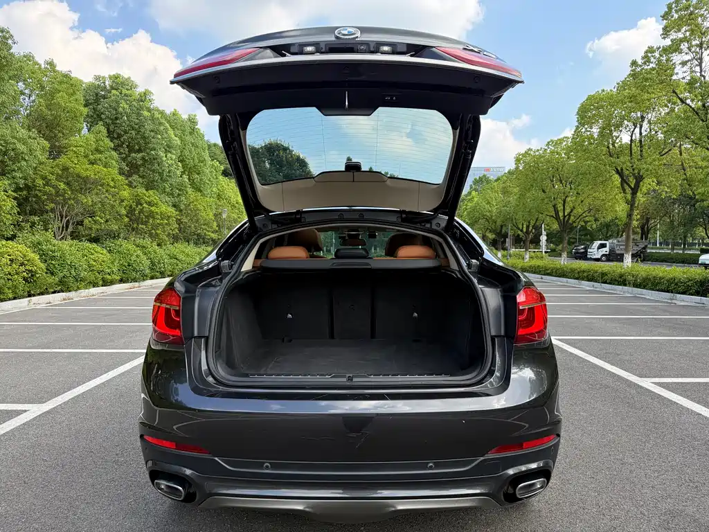 BMW X6 — миниатюра 30