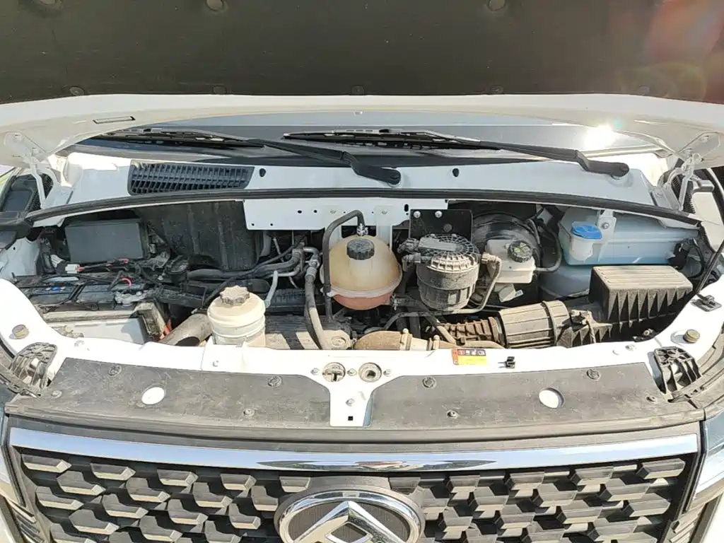 MAXUS V80 — миниатюра 20
