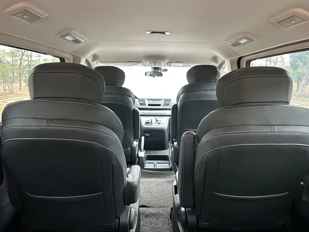 SAIC MAXUS CHASE G20