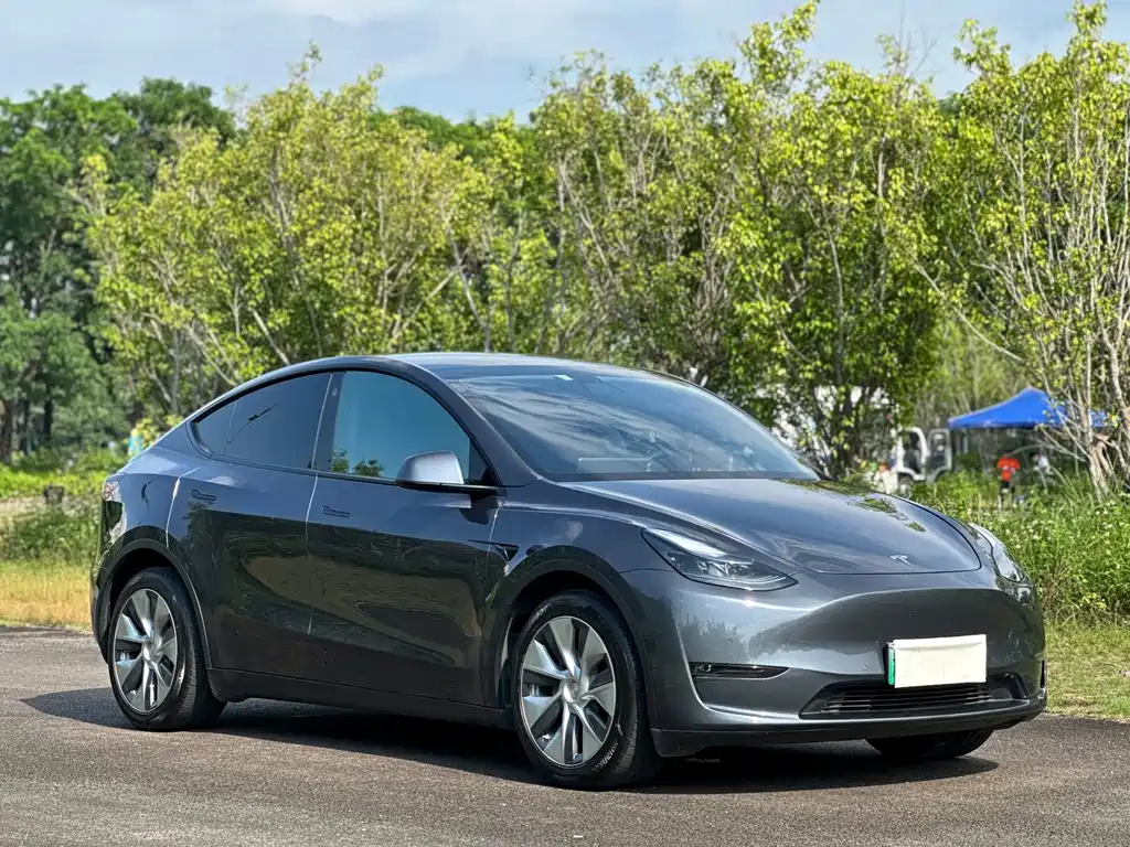 Tesla Model Y — миниатюра 3