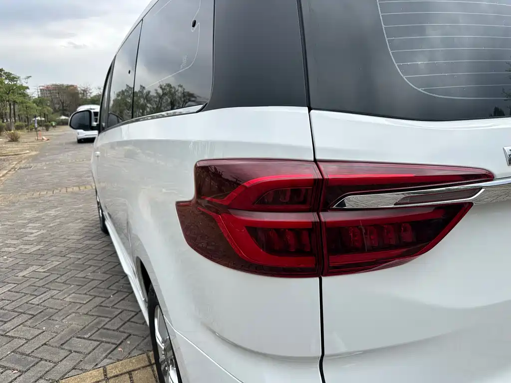 SAIC MAXUS CHASE G20