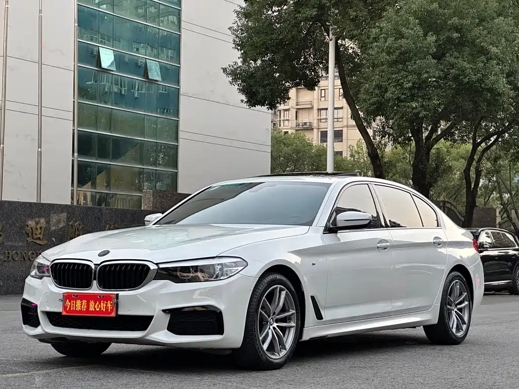 BMW 5 Series — миниатюра 3