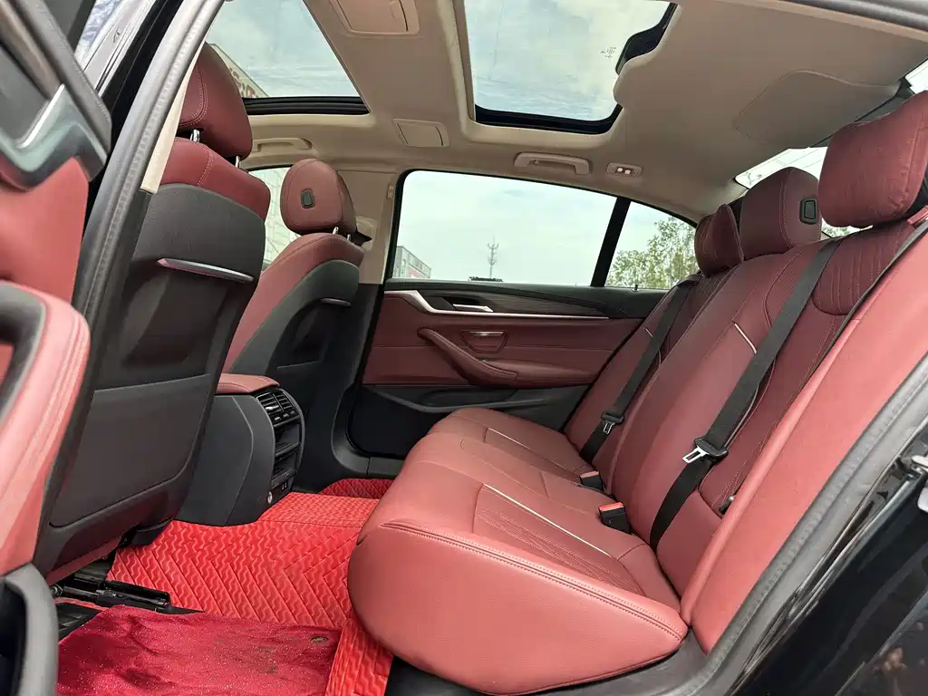 BMW 5 Series New Energy 535Le Luxury Package, фото 11