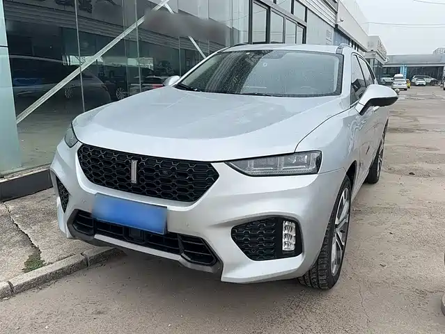 WEI PAI WEI BRAND VV7 2017