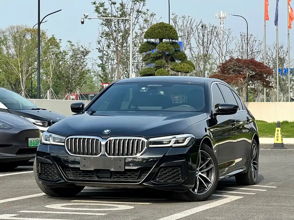 BMW 5 Series New Energy 2021