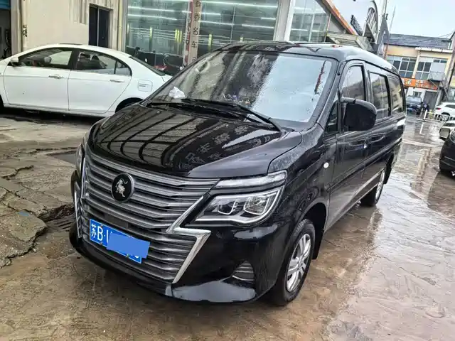 dongfeng lingzhi
