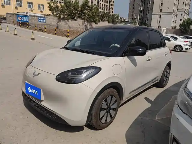 WULING AUTOMOBILE WULING BINGGUO 2025
