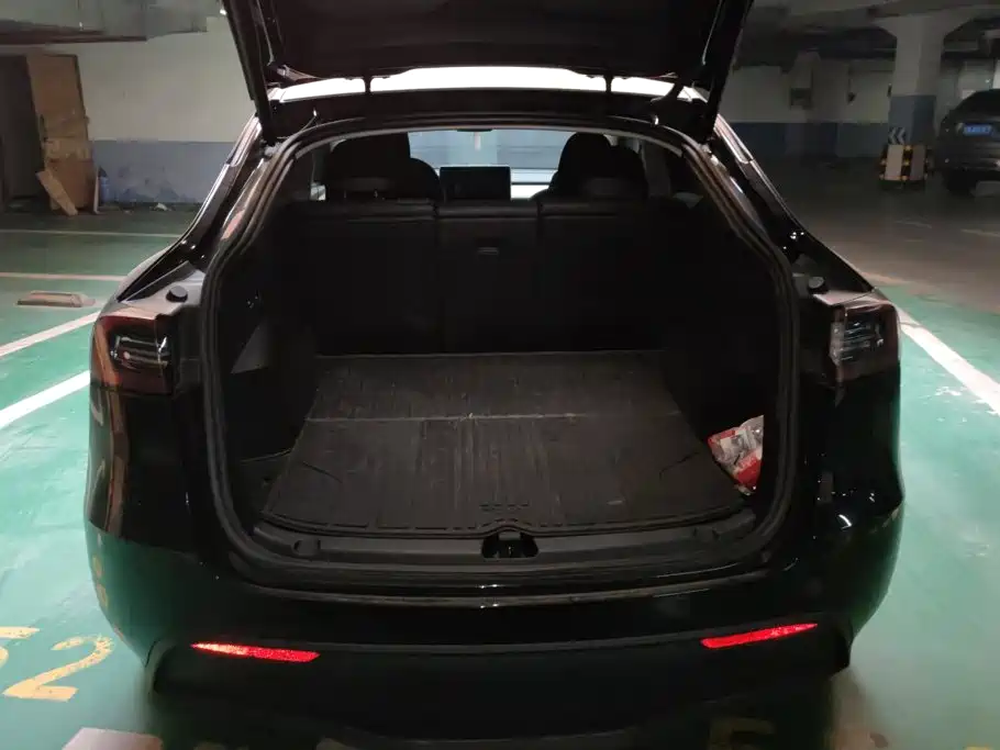 Tesla Model Y — миниатюра 4