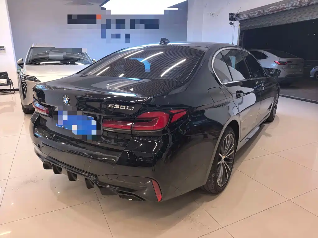 BMW 5 Series — миниатюра 5