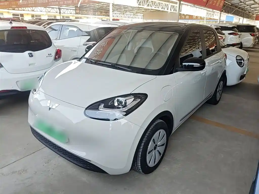 Wuling Bingo 2024