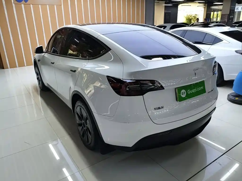 Tesla Model Y — миниатюра 5