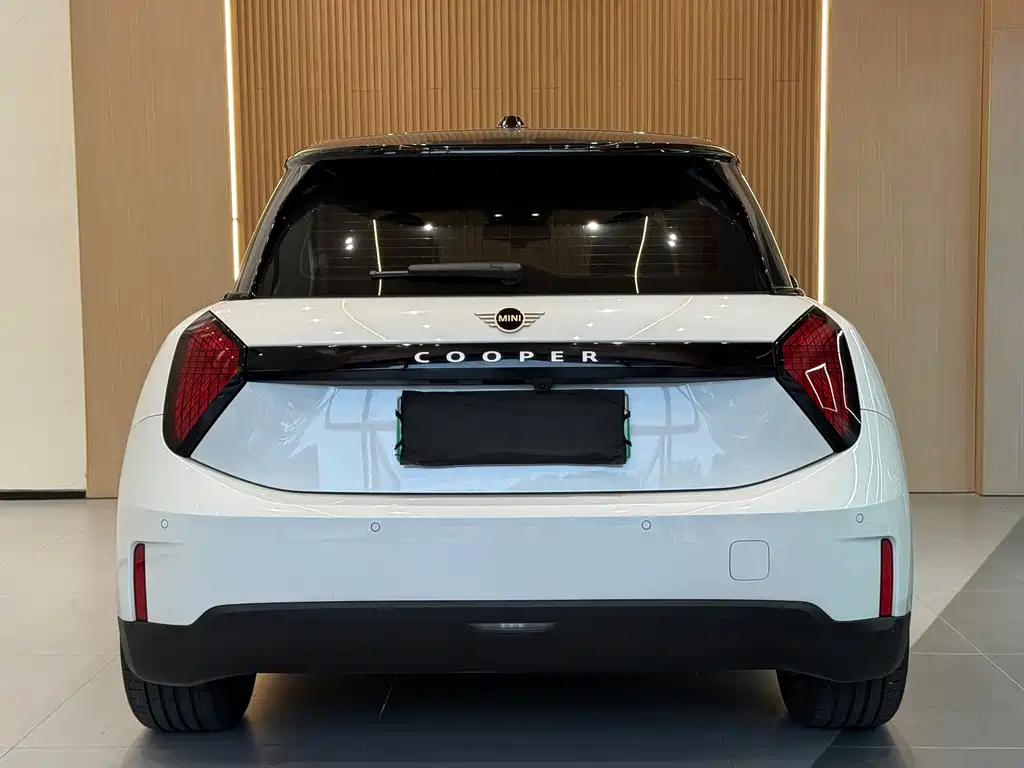 MINI MINI ACEMAN EV — миниатюра 17