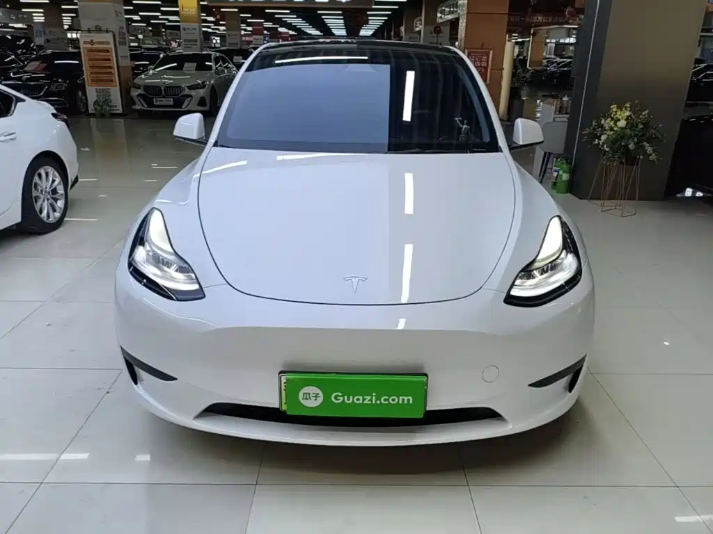 Tesla Model Y — миниатюра 3