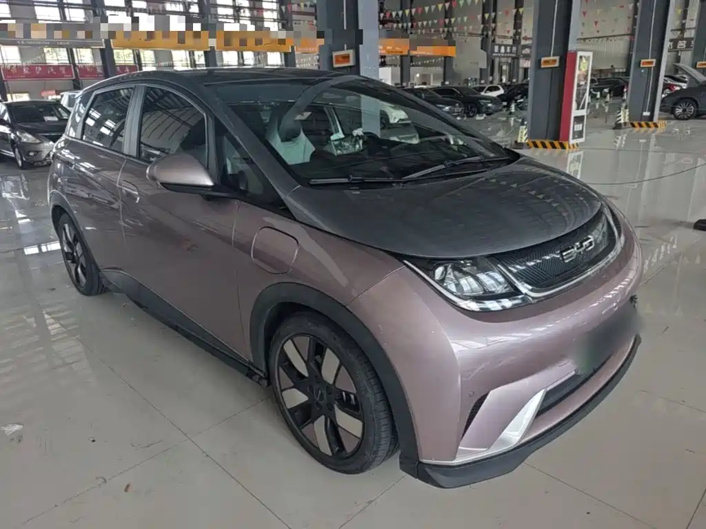 BYD Dolphin — миниатюра 4