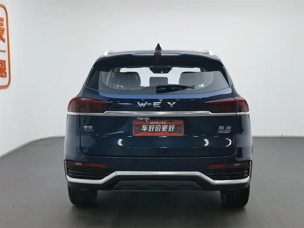 WEI PAI WEI BRAND LATTE DHT PHEV