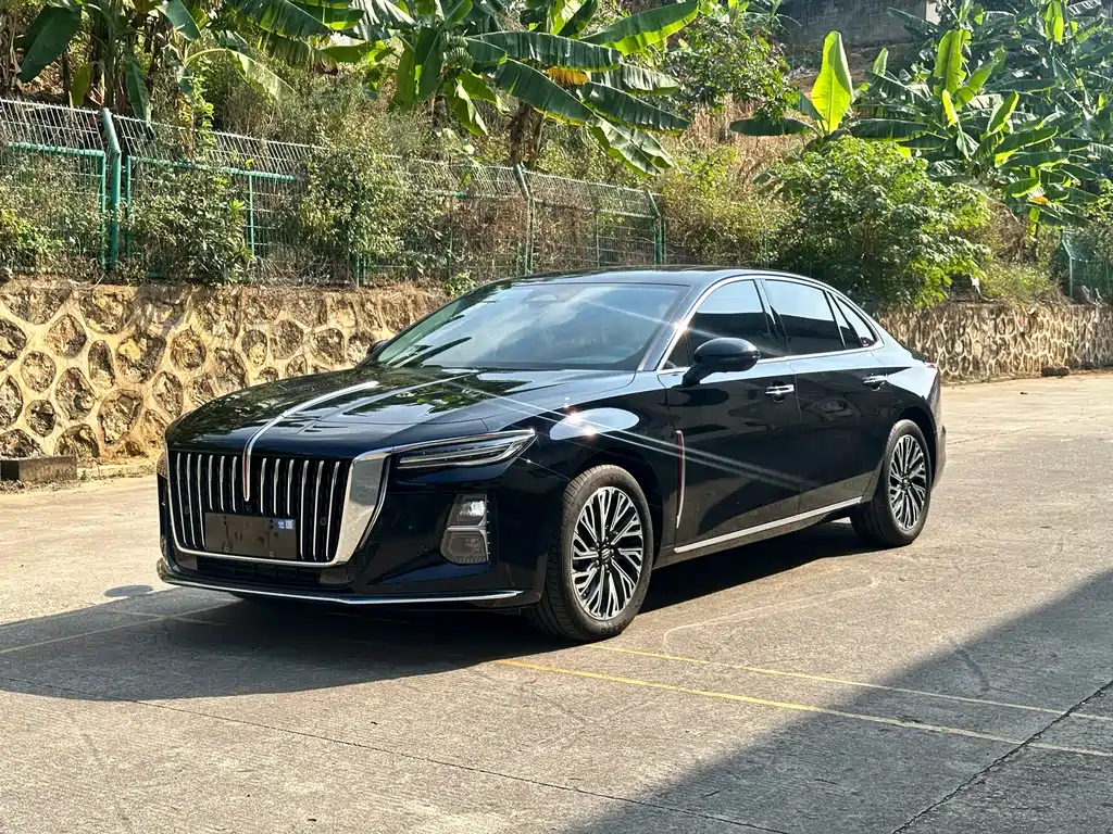 Hongqi Hongqi H5 2024