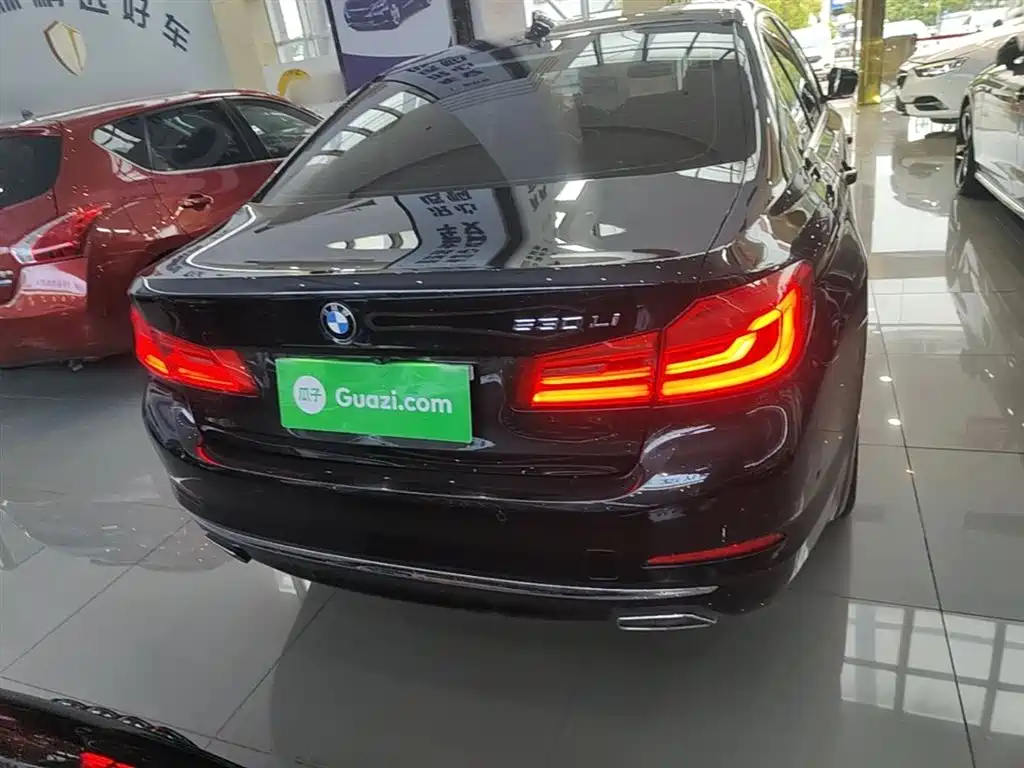 BMW 5 Series 5 2019 530Li Premium Luxury