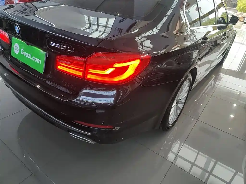 BMW 5 Series 5 2019 530Li Premium Luxury