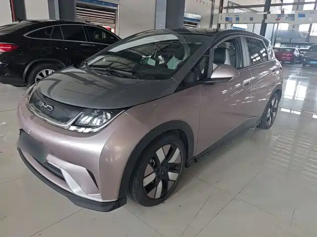 BYD Dolphin