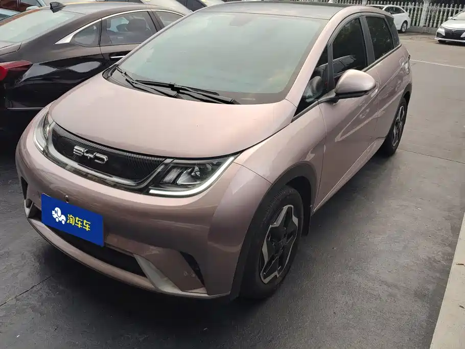 2023 BYD Dolphin - zdjęcie 1 z 16