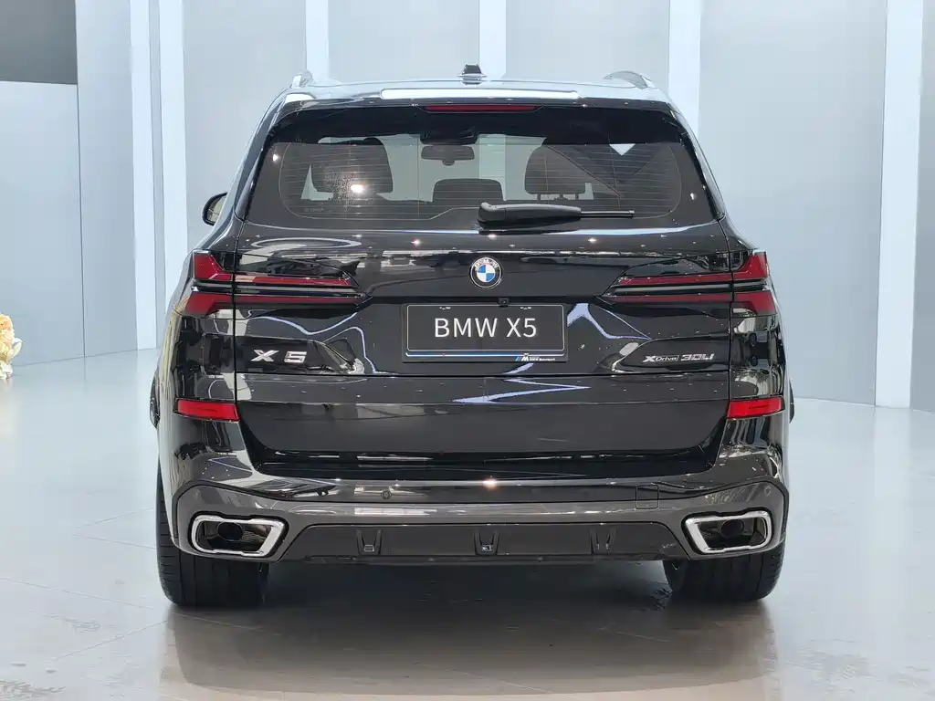 BMW X5 2023 xDrive 30Li Premium M Sport