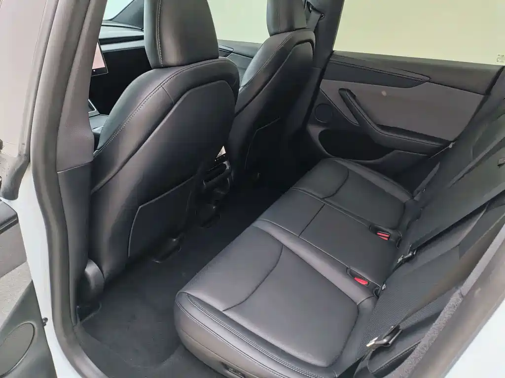 Tesla Model Y — миниатюра 8