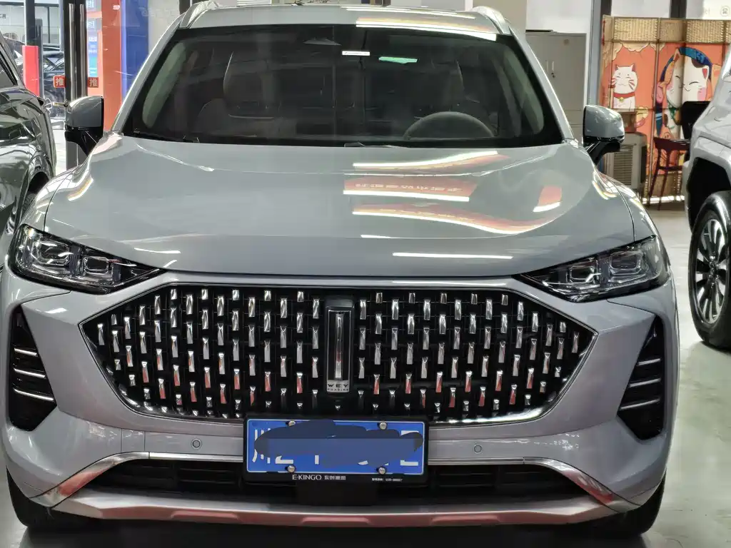 WEI PAI WEI BRAND MOCHA