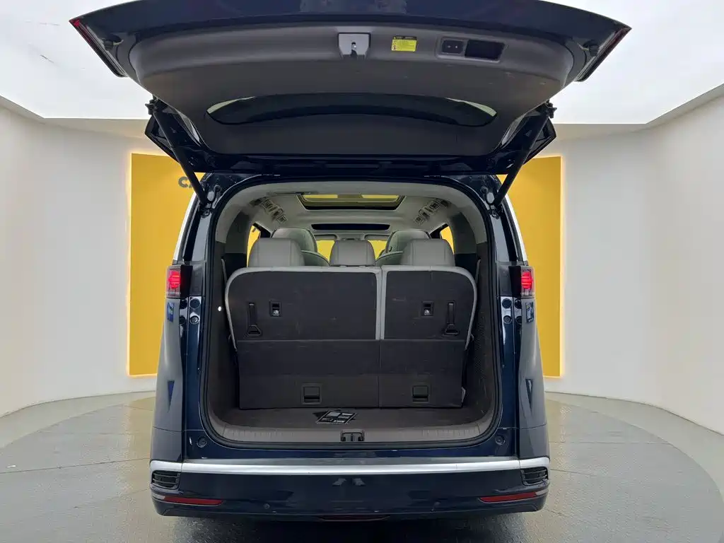 Denza Denza D9 — миниатюра 12