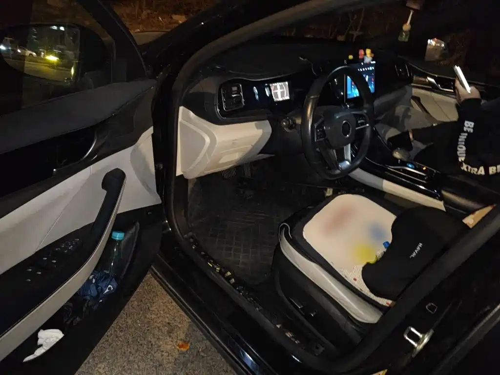 BYD Qin PLUS — миниатюра 17