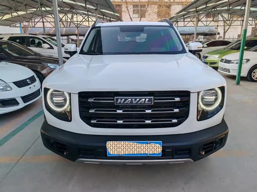 HAVAL BIG DOG
