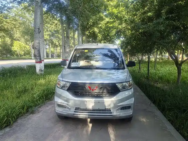 2025 Wuling Motors Hongguang