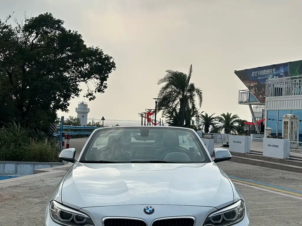 BMW 2 Series (Import) — миниатюра 2