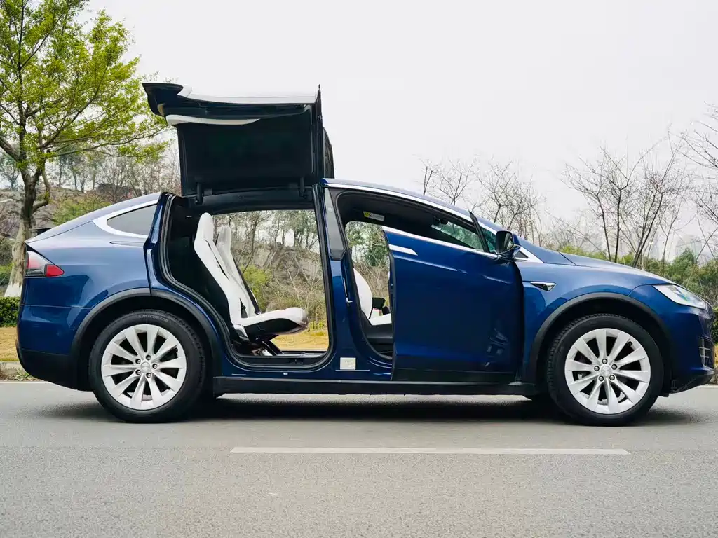 TESLA MODEL X
