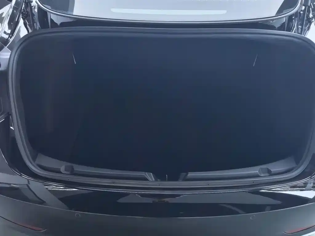 Tesla Model 3 — миниатюра 12