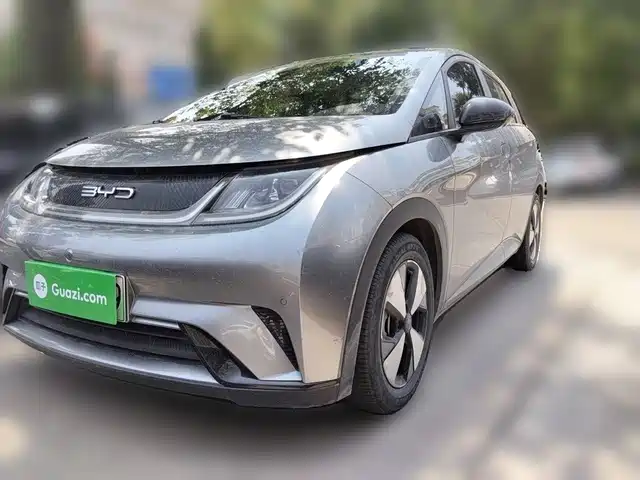 2023 BYD Dolphin