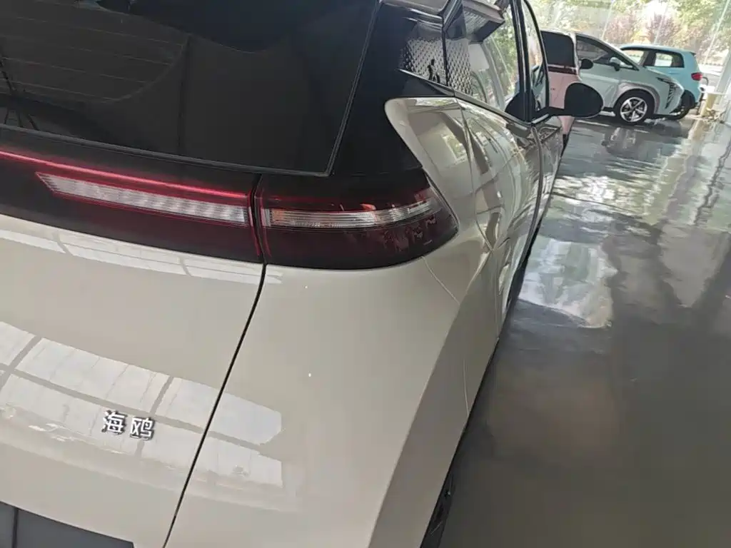 BYD Seagull 2025 305km