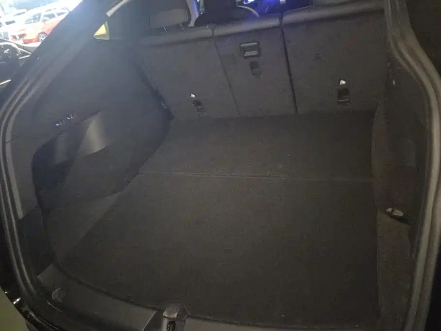 Tesla Model Y — миниатюра 4