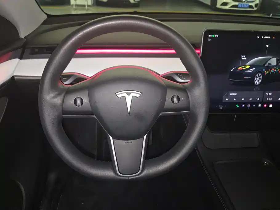 Tesla Model Y — миниатюра 15