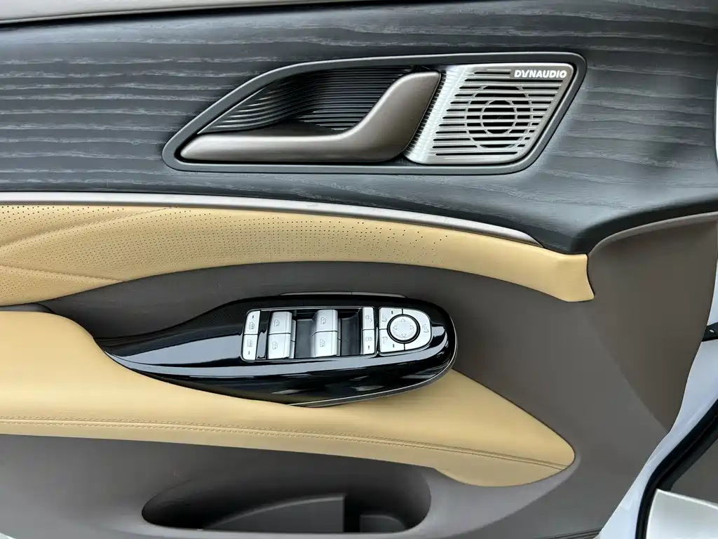 Denza Denza D9 — миниатюра 19