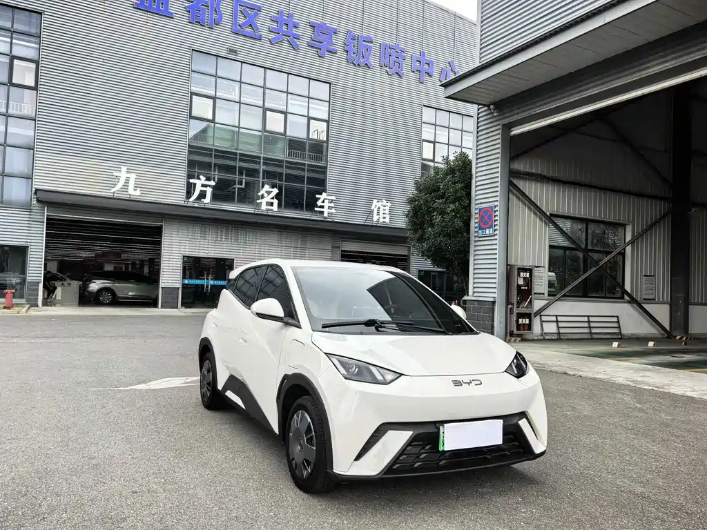 BYD Seagull — миниатюра 5