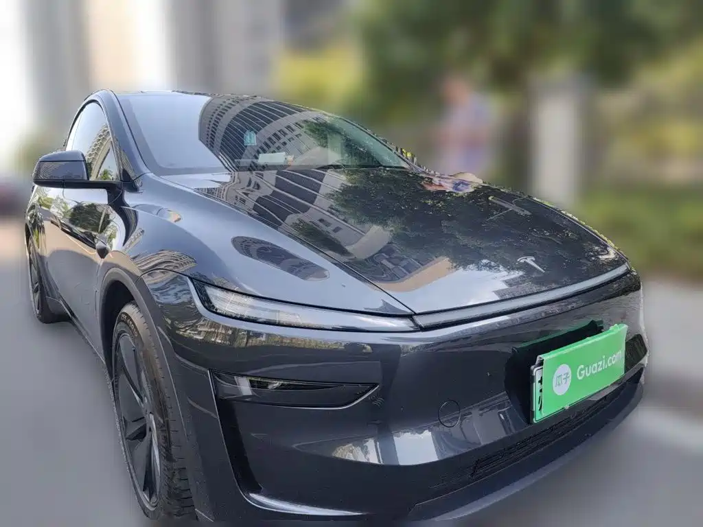 Tesla Model Y — миниатюра 3