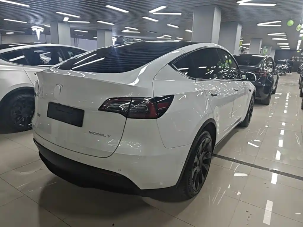 Tesla Model Y — миниатюра 7