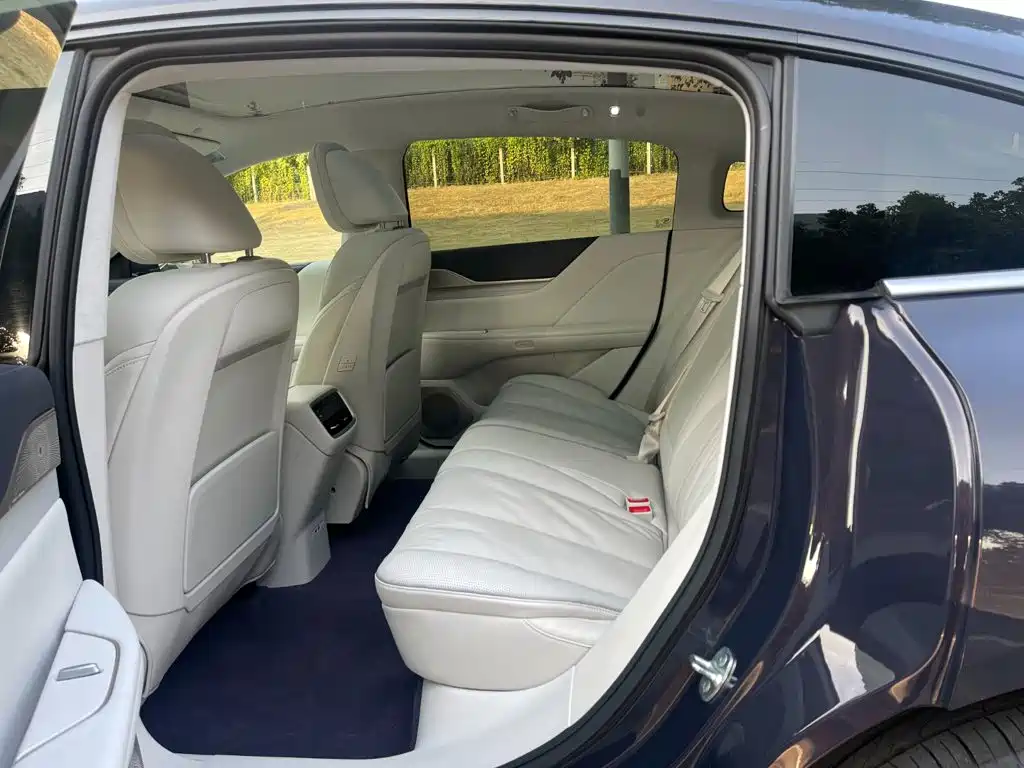 Buick Electra L7 — миниатюра 14