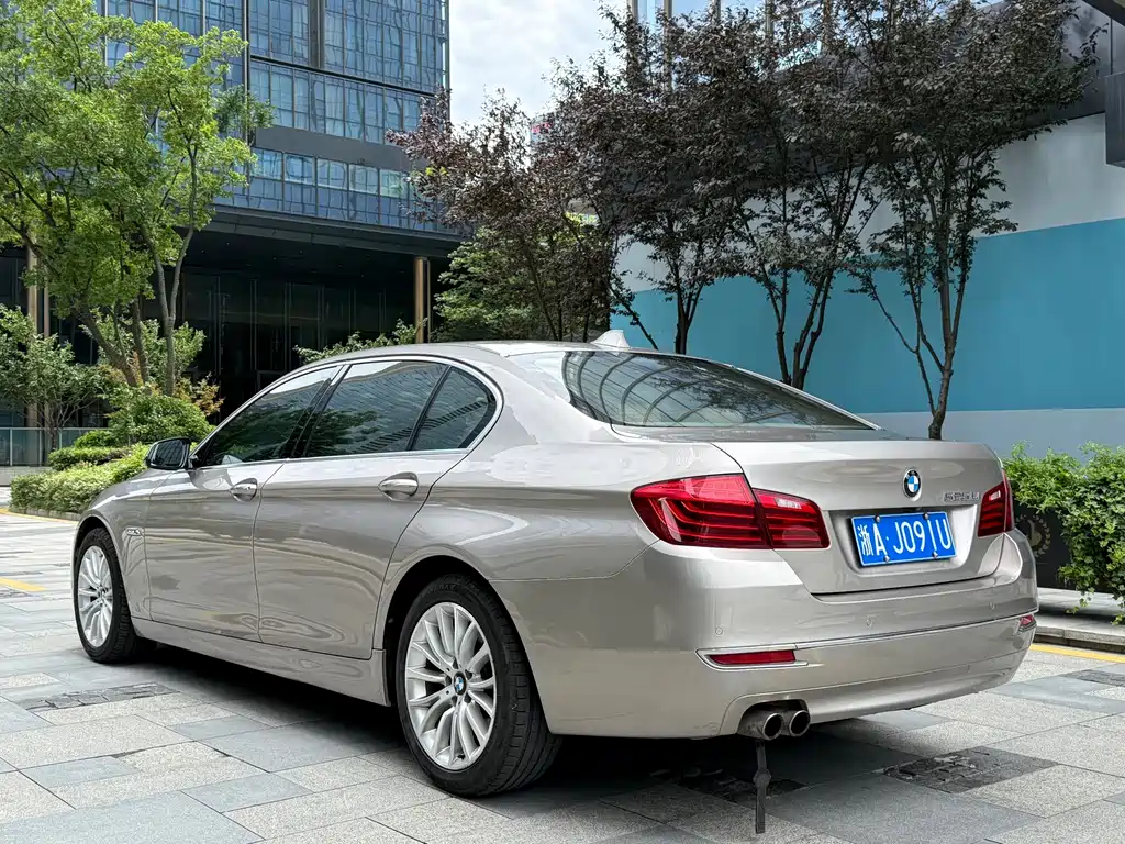 BMW 5 Series 5 2013 525Li Luxury