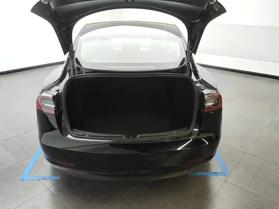 Tesla Model 3 — миниатюра 4