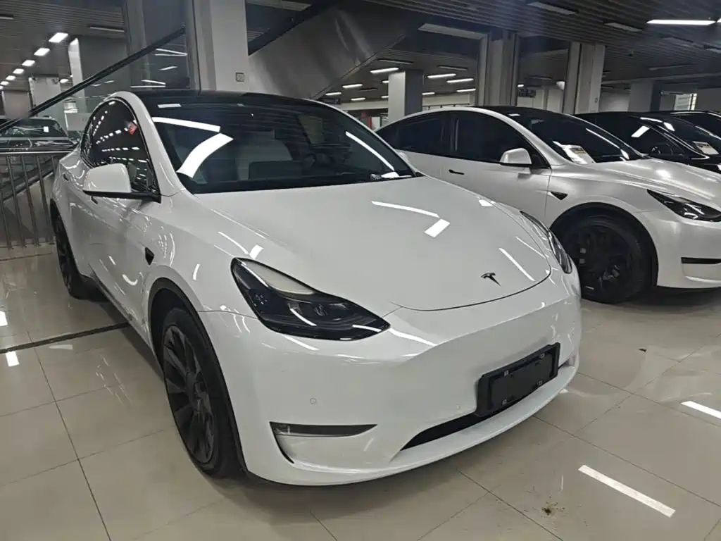 Tesla Model Y — миниатюра 4