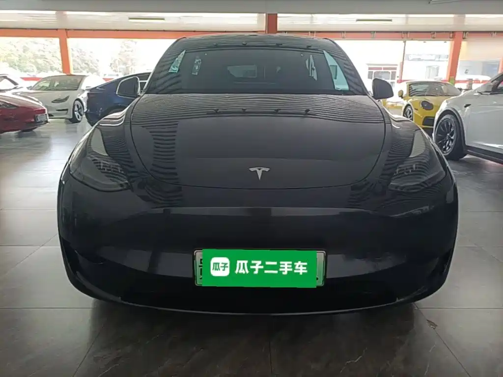 Tesla Model Y — миниатюра 3