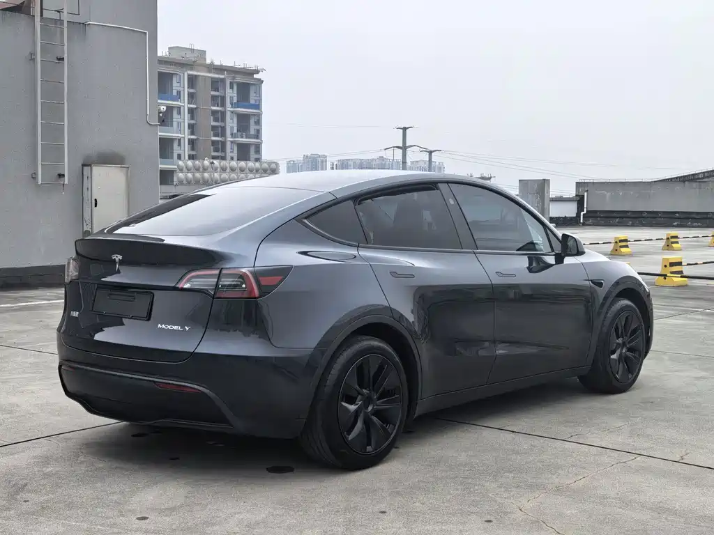 Tesla Model Y — миниатюра 4