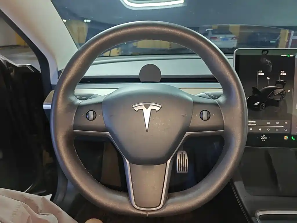 Tesla Model 3 — миниатюра 11